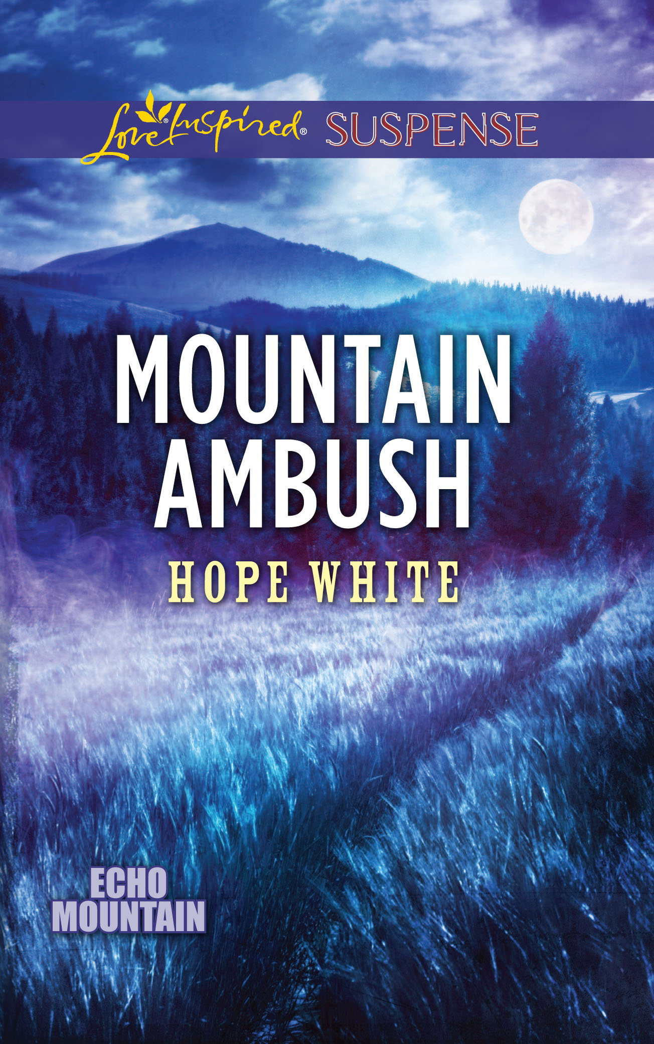 Mountain Ambush by Hope White